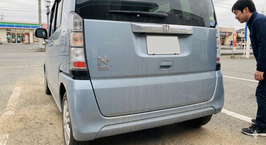 フィヨルドミストパール汚れ_3